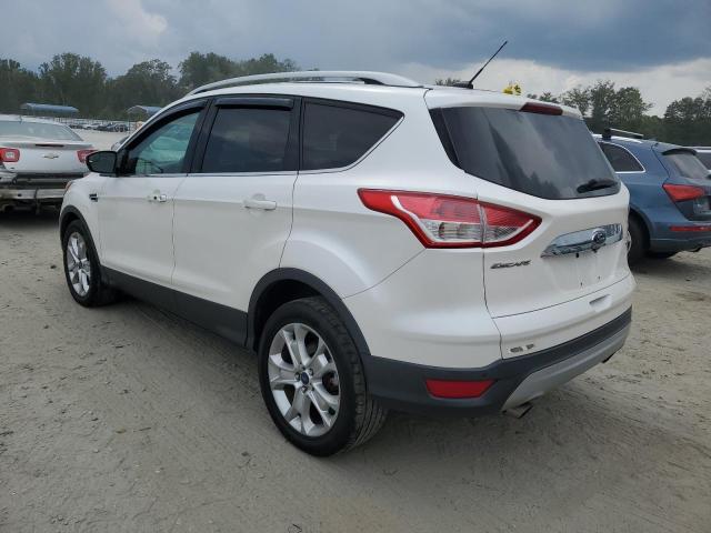 1FMCU9J92GUA14452 2016 FORD ESCAPE, photo no. 2