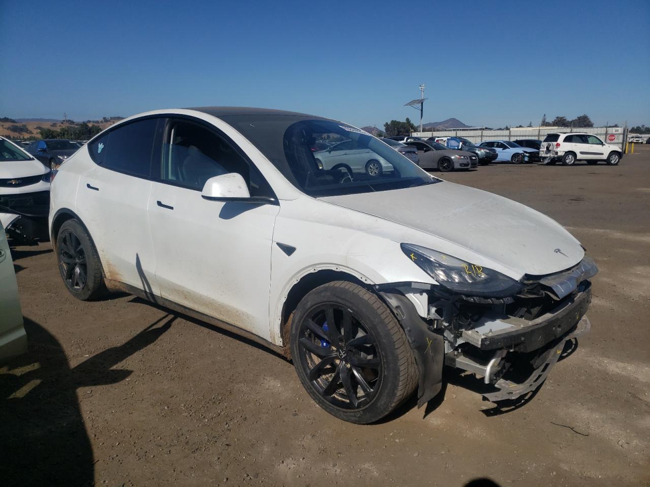 5YJYGDEE6LF013030 Tesla Model Y  4