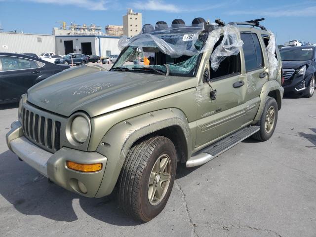 2002 Jeep Liberty Renegade