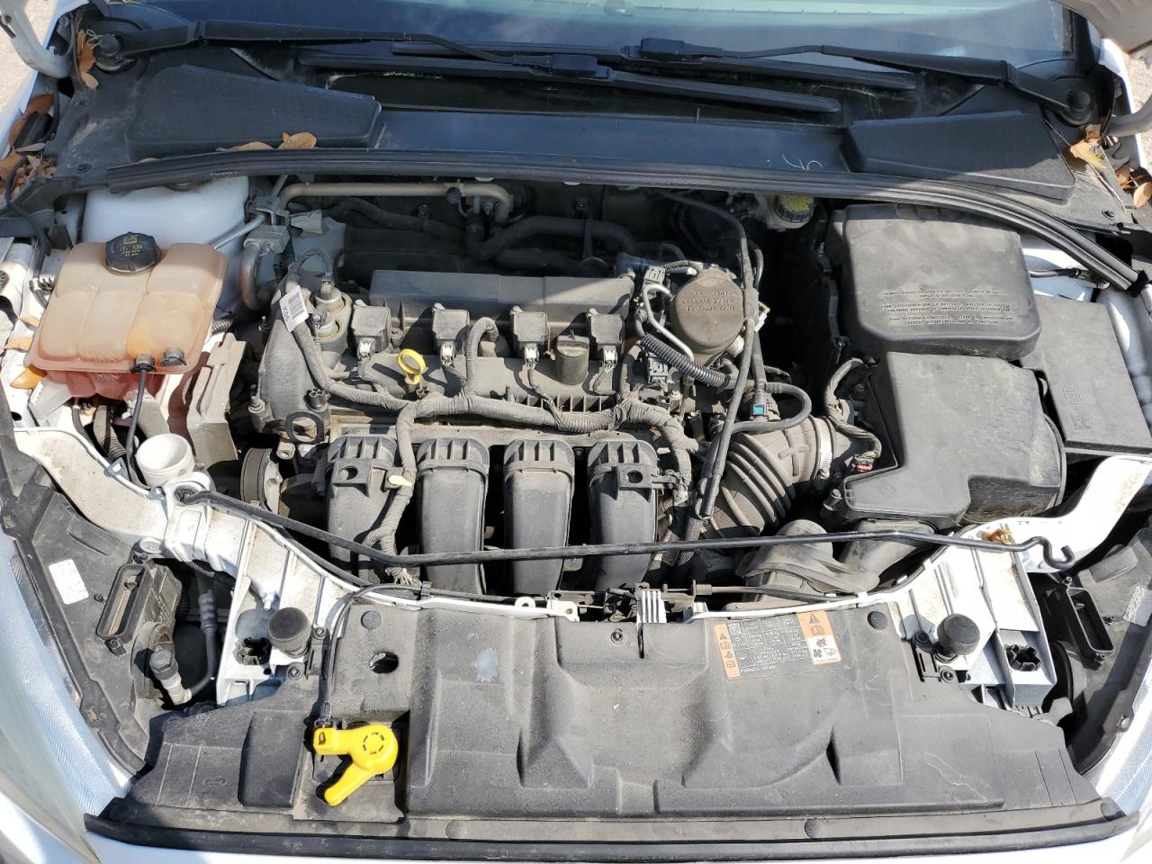 1FADP3F23GL316210 FORD FOCUS 2016