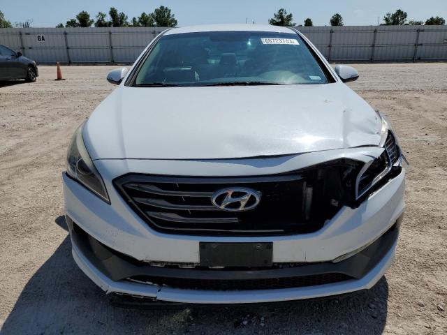 5NPE34AF4GH297102 Hyundai Sonata Sport
