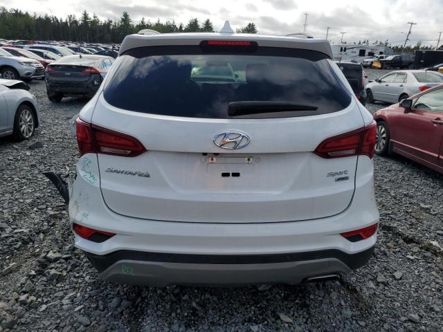 2017 HYUNDAI SANTA FE S - 5XYZUDLB5HG431309