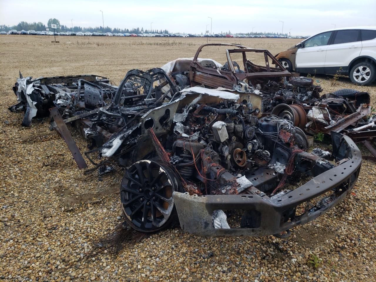 1FTEX1EP1KKE67593 FORD F-150 2019