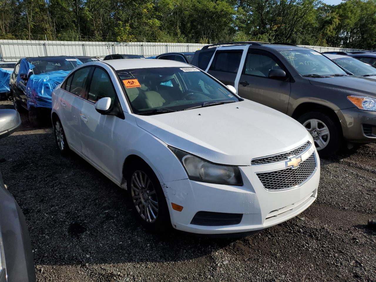 Lot #3031775003 2012 CHEVROLET CRUZE ECO