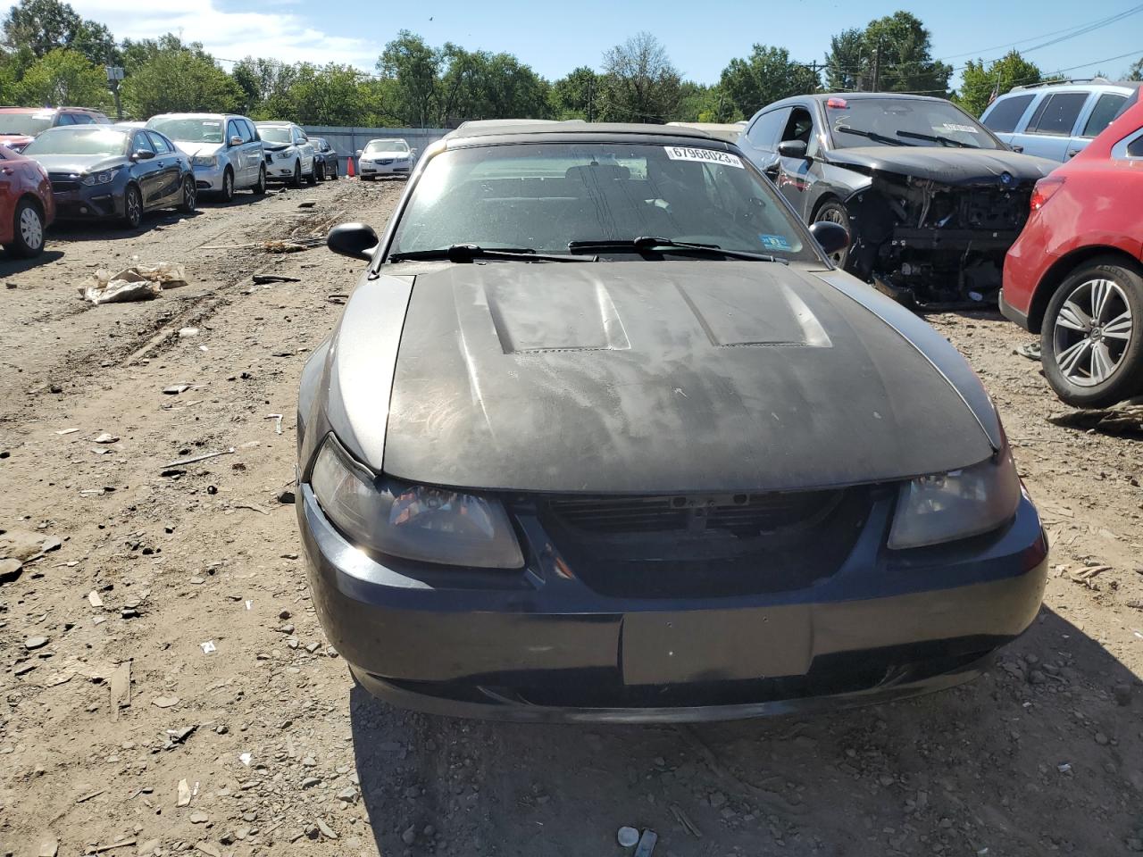 1FAFP45X64F109770 2004 Ford Mustang Gt 1FAFP45X64F109770 2004 Ford Mustang Gt