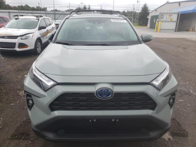 4T3B6RFVXPU126113 | 2023 TOYOTA RAV4 XLE P