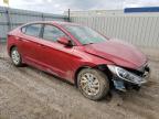 Lot #3003987507 2017 HYUNDAI ELANTRA SE