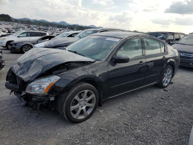 Lot #2354751396 2007 NISSAN MAXIMA SE salvage car