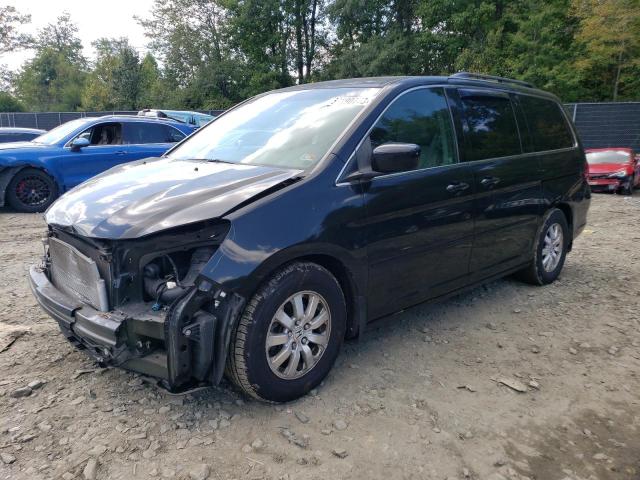 2010 Honda Odyssey EX-L