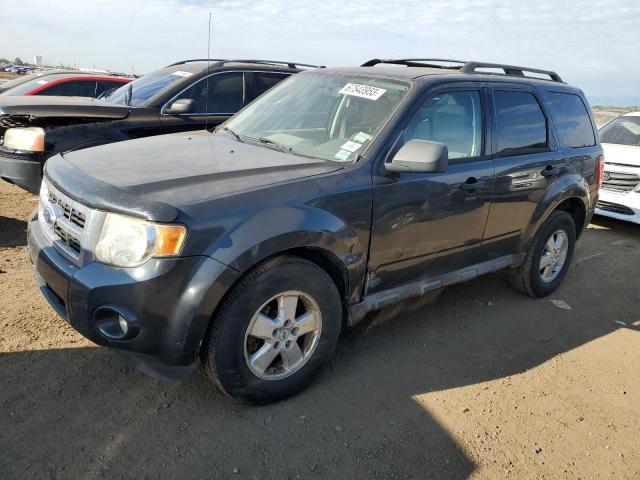 2009 Ford Escape XLT