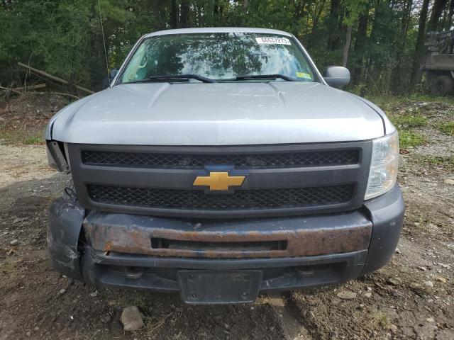 2013 Chevrolet Silverado K1500 VIN: 1GCRKPEA5DZ206556 Lot: 66637273