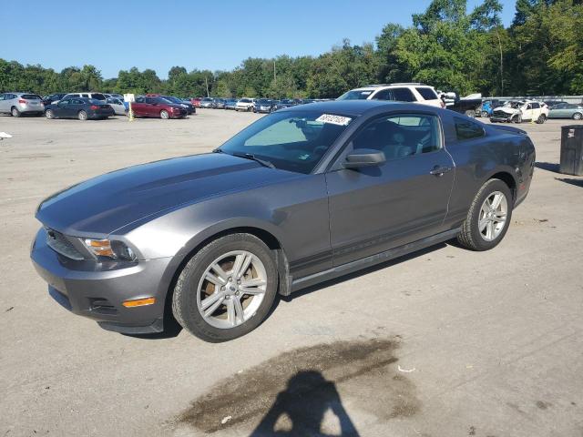 2010 Ford Mustang 