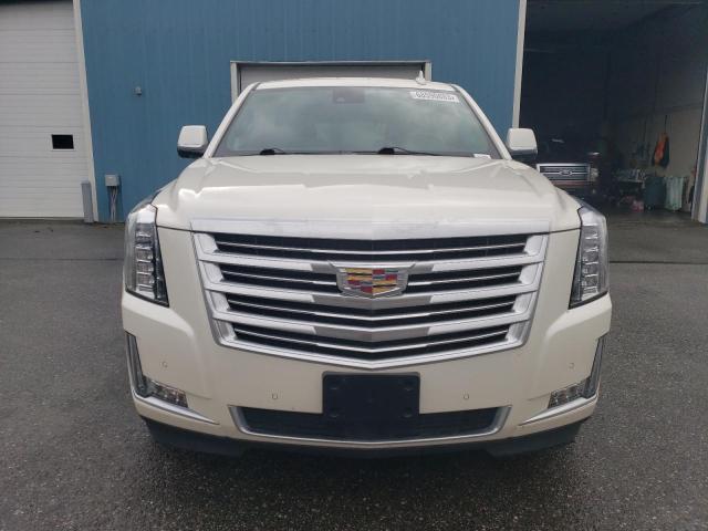 2015 CADILLAC ESCALADE P - 1GYS4PKJ5FR614813