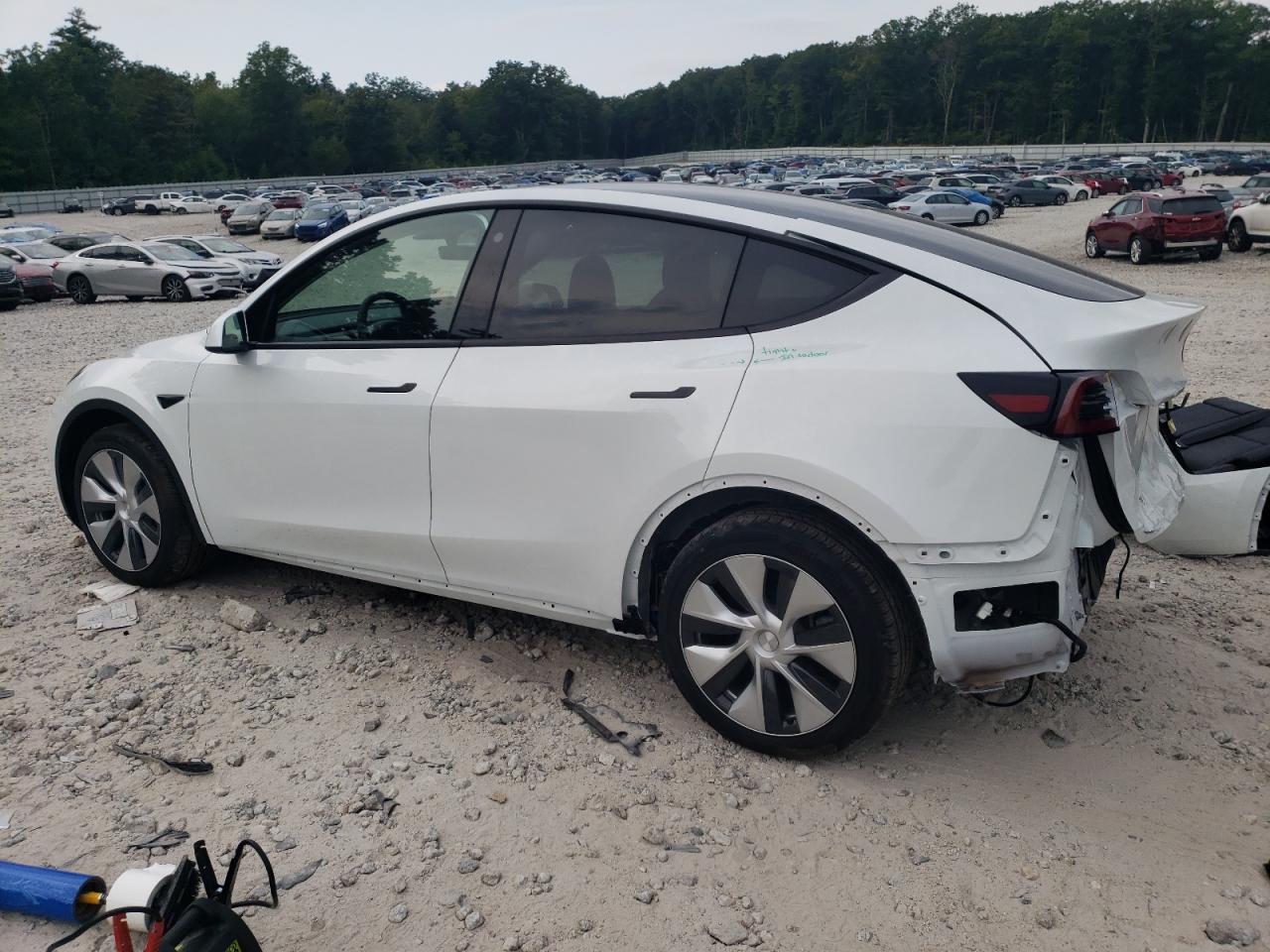 7SAYGDEEXPF769288 Tesla Model Y  2