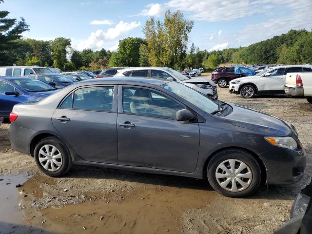 Lot #2489547310 2010 TOYOTA COROLLA BA salvage car