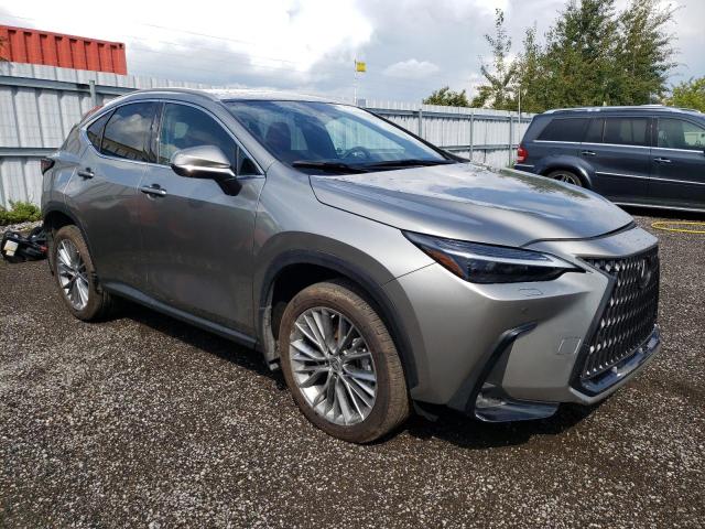 2023 LEXUS NX 350 2T2GGCEZ8PC030037