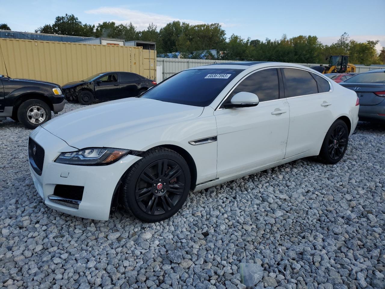 Jaguar XF White