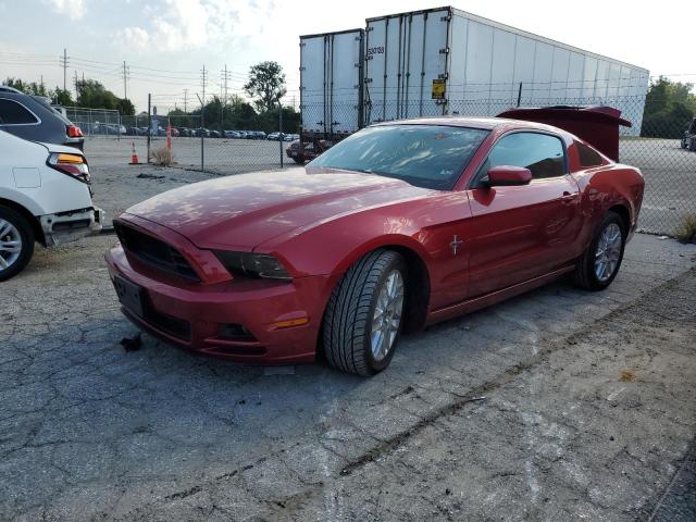 2013 Ford Mustang 