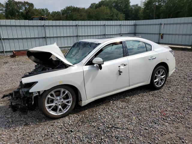 Lot #2459918592 2014 NISSAN MAXIMA S salvage car