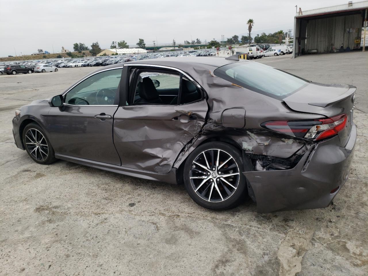 4T1G11AK7MU420978 TOYOTA CAMRY 2021