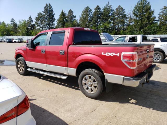 1FTFW1EV6AFD75313 | 2010 Ford f150 supercrew