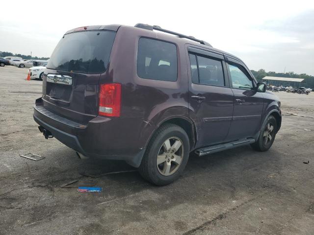 Vin: 5fnyf3h56bb047637, lot: 67834013, honda pilot exl 20113