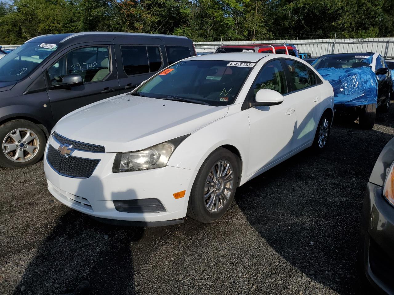 Lot #3031775003 2012 CHEVROLET CRUZE ECO