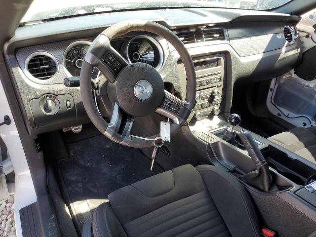 1ZVBP8CU5D5242371 2013 FORD MUSTANG, photo no. 8