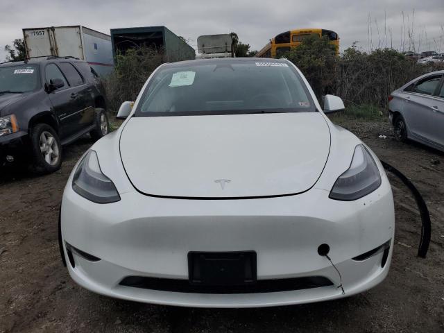 7SAYGAEE4PF668679 | 2023 Tesla model y