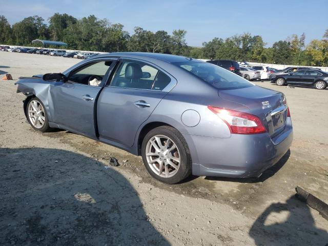 2010 Nissan Maxima S VIN: 1N4AA5AP0AC827769 Lot: 69166273