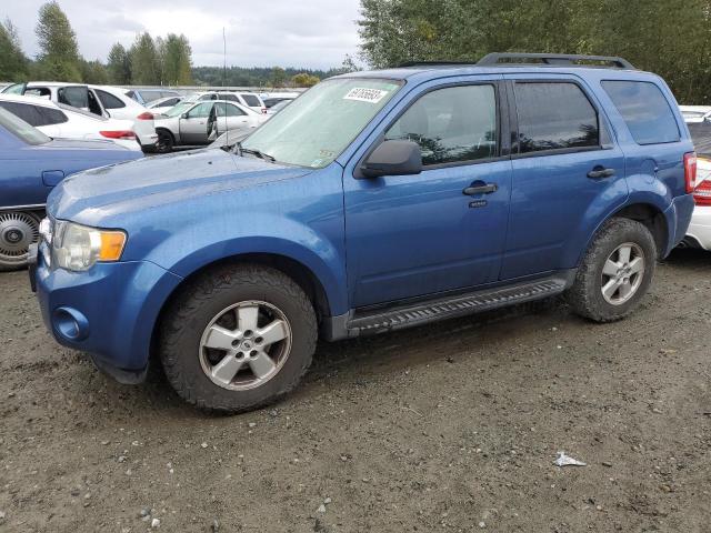 2009 Ford Escape XLT