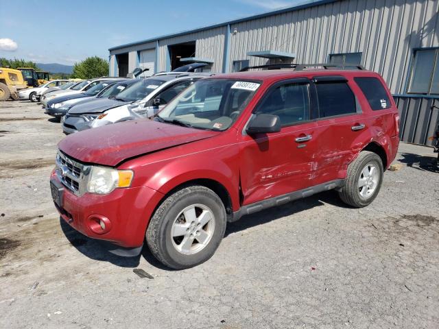 2010 Ford Escape XLT