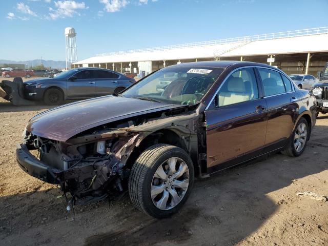 HONDA ACCORD EXL