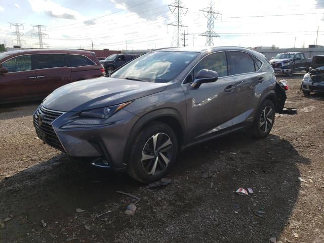 2020 Lexus NX 300h 