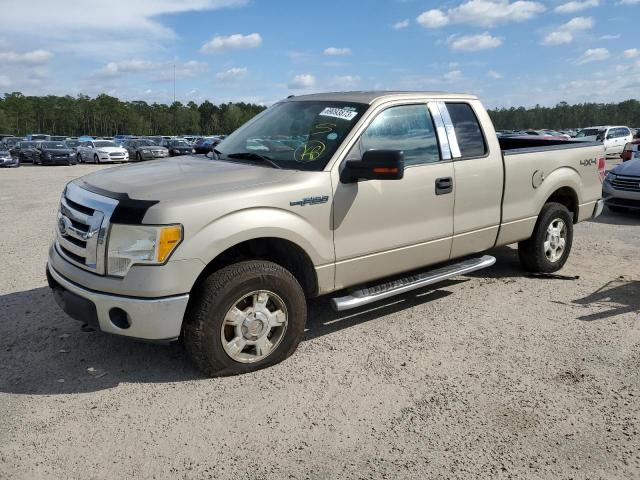 2010 Ford F-150 