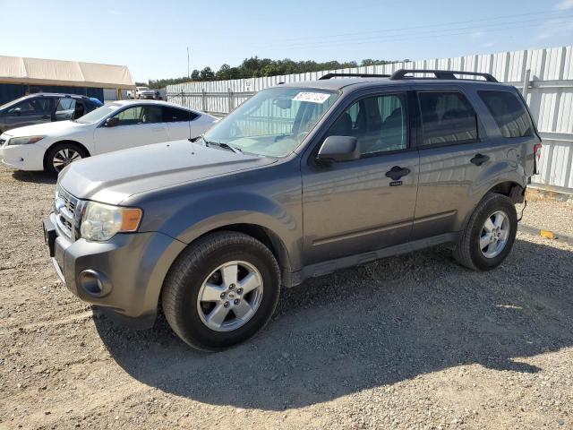 2009 Ford Escape XLT