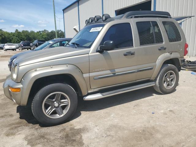 2004 Jeep Liberty Renegade