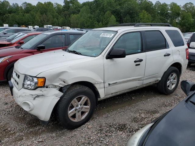 2010 Ford Escape Hybrid