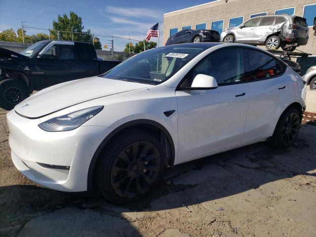 5YJYGDEE8MF255061 Tesla Model Y 