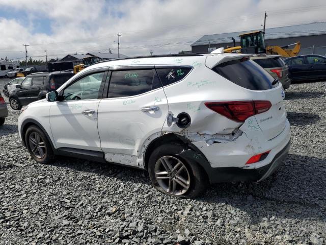 2017 HYUNDAI SANTA FE S - 5XYZUDLB5HG431309