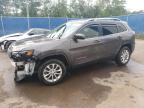 2019 JEEP CHEROKEE L - 1C4PJMCX6KD150766