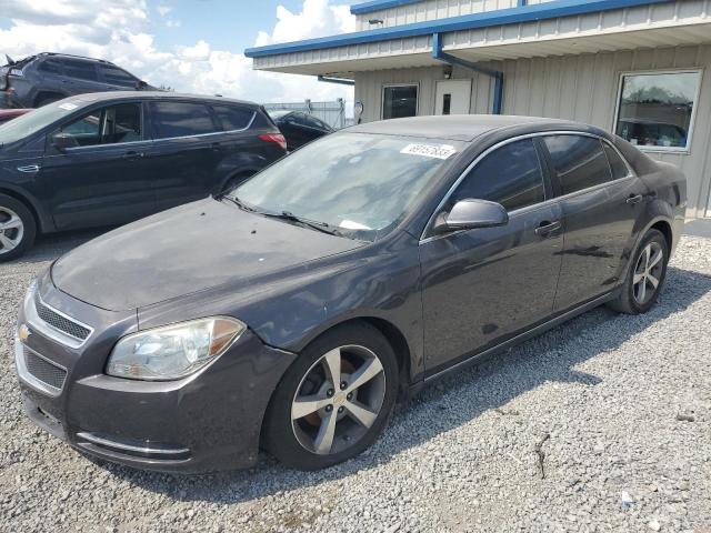 Lot #2390466551 2011 CHEVROLET MALIBU 1LT salvage car