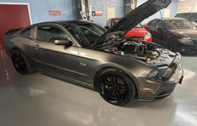 1ZVBP8CF5E5274479 2014 FORD MUSTANG, photo no. 1