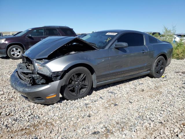 2010 Ford Mustang 