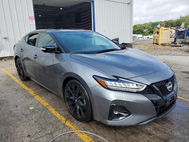  NISSAN MAXIMA 2023 Сірий