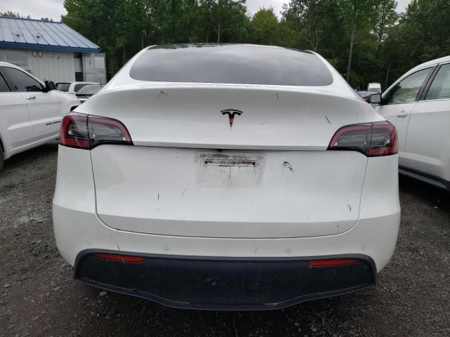 5YJYGDEE3MF232481 | 2021 TESLA MODEL Y