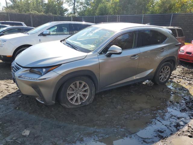 2021 Lexus NX 