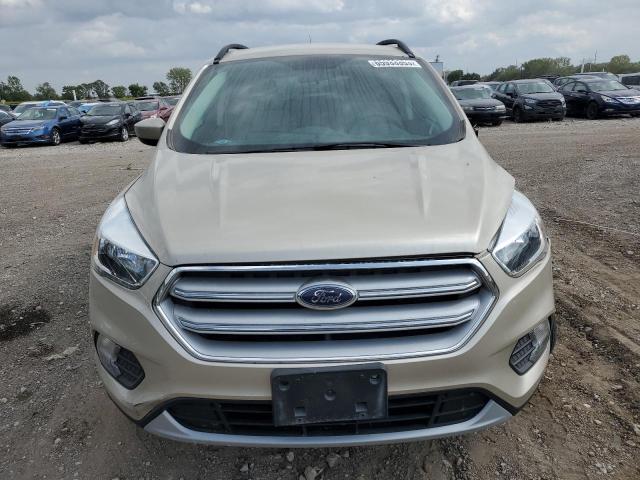 FORD ESCAPE 2018 Колір засмаги
