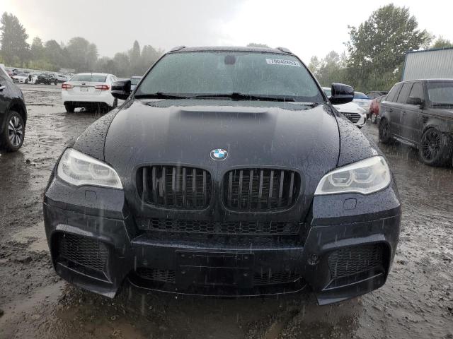 VIN 5YMGZ0C57DLL29818 2013 BMW X6, M no.5