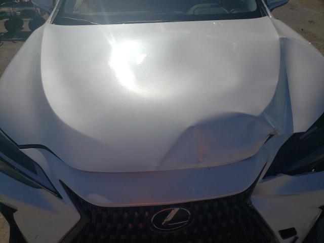 2023 LEXUS NX 250 JTJGDCAZXP5010546